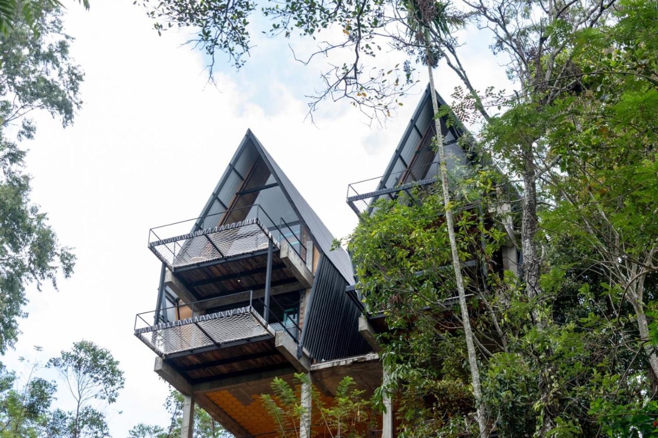 Wild Bee Hostel Ella Exterior photo
